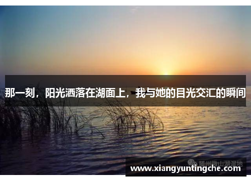 那一刻，阳光洒落在湖面上，我与她的目光交汇的瞬间
